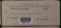 Image Associated With the Occurence